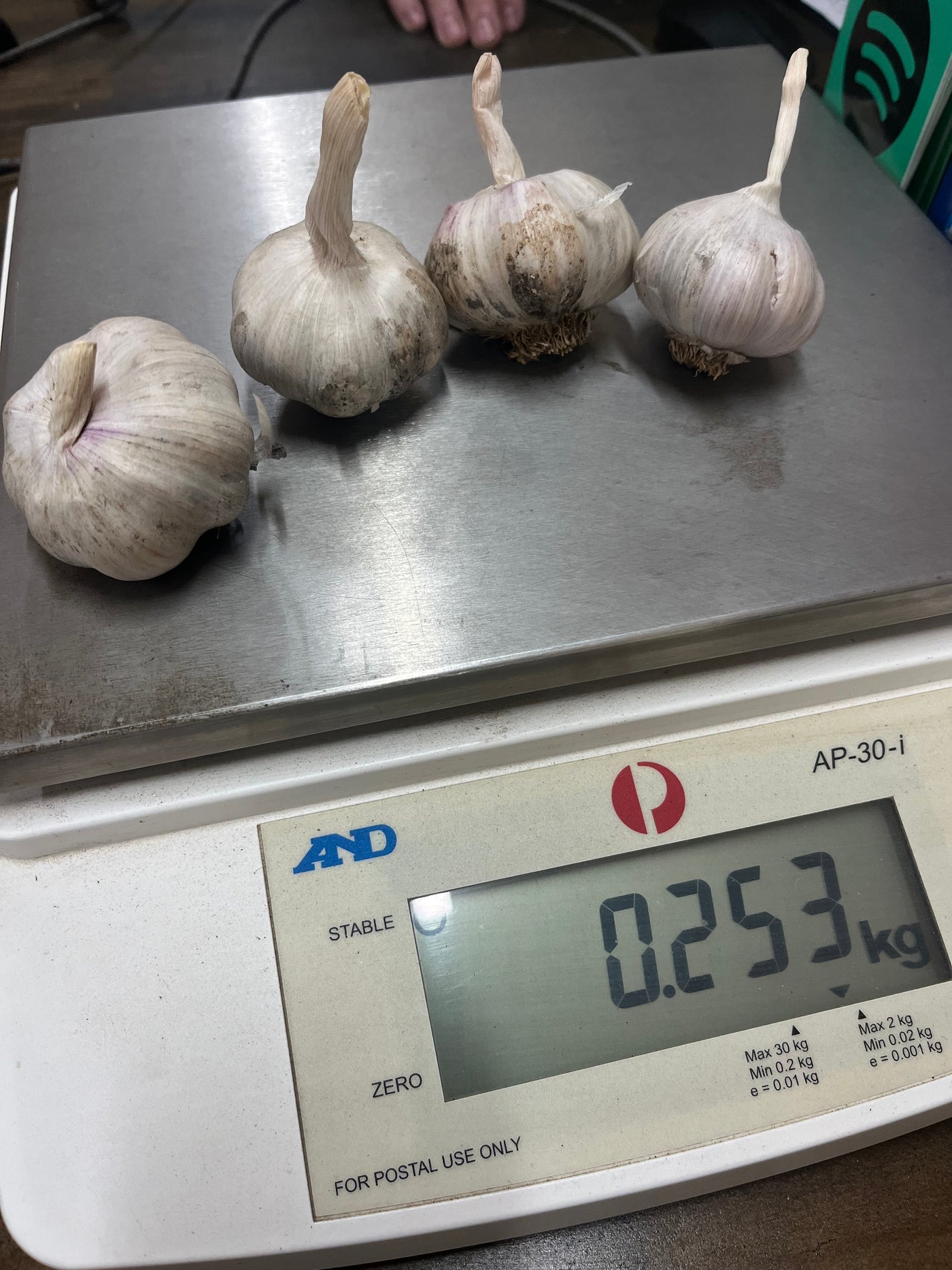 Garlic Seed for Planting – Fernihurst VIC
