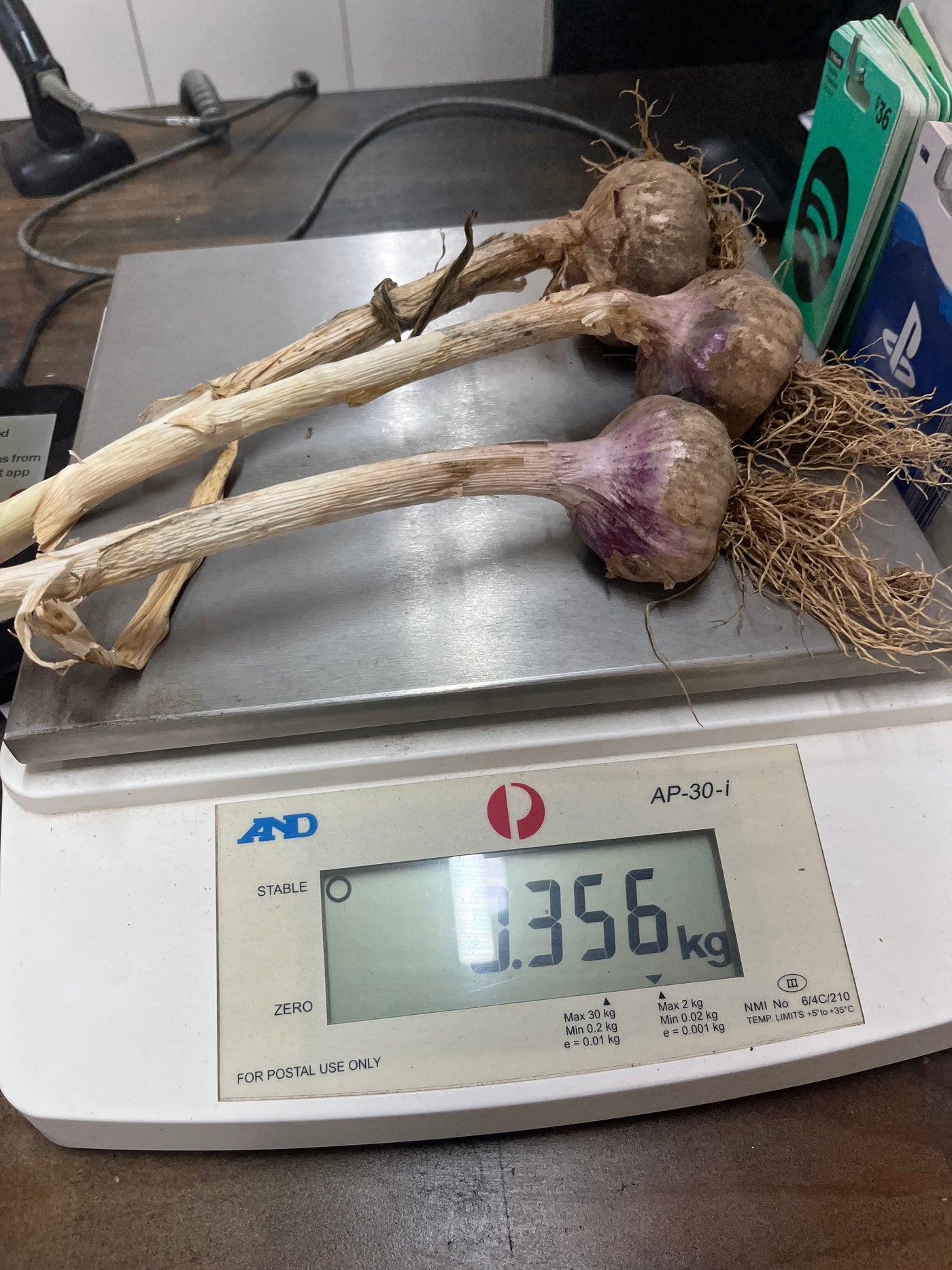 Garlic Seed for Planting – Fernihurst VIC