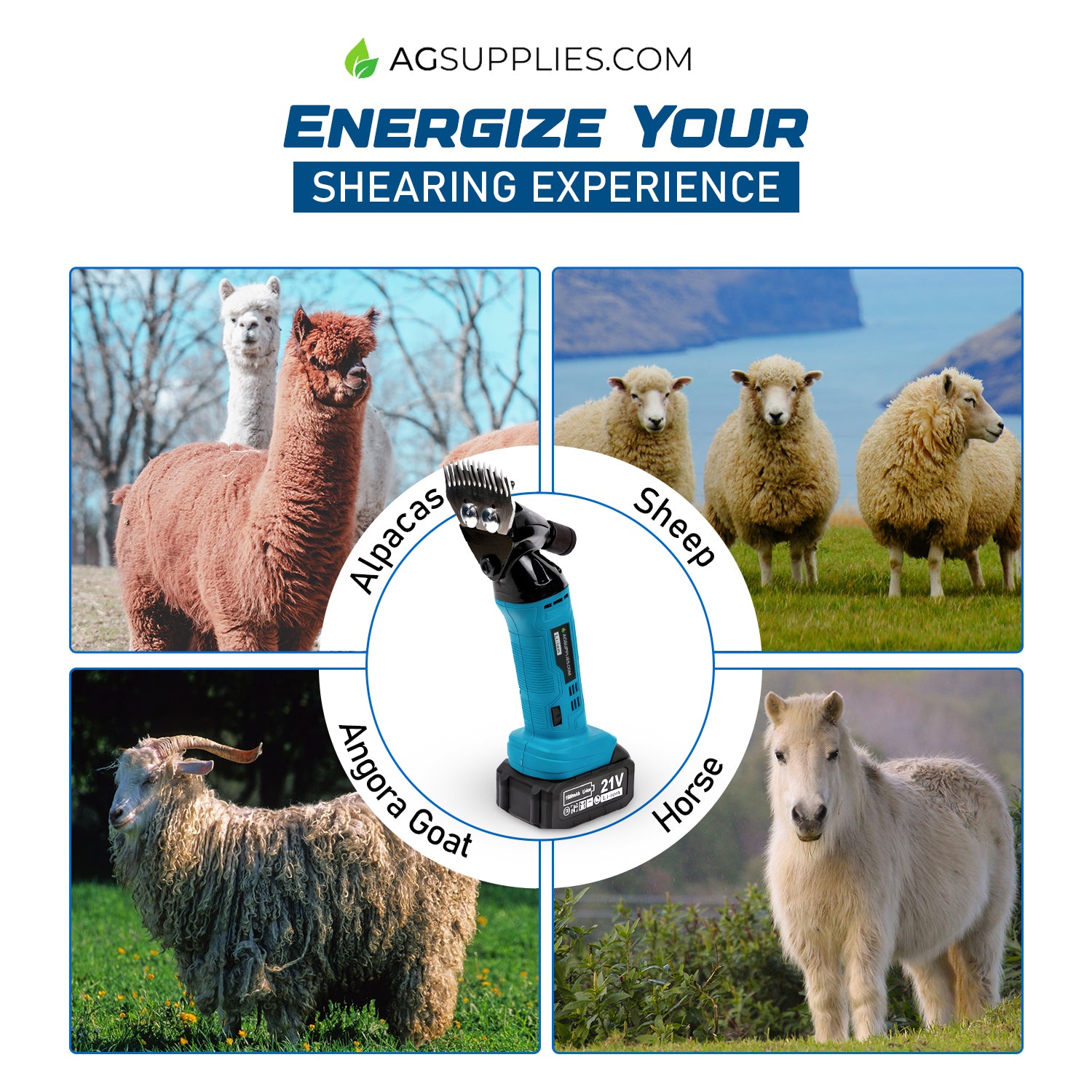 Makita-Compatible Dual Clipper Bundle | Cordless Sheep & Horse Set