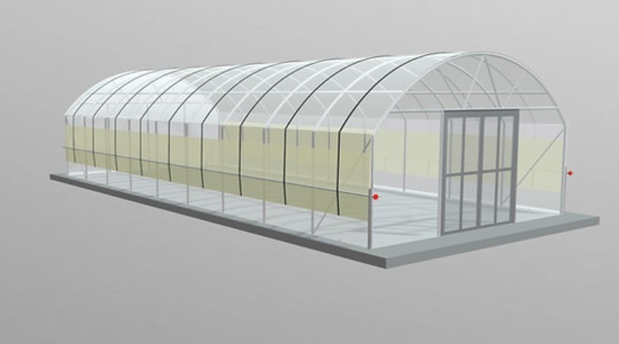 Polytunnel (5m x 12m length) - Wind Resistant